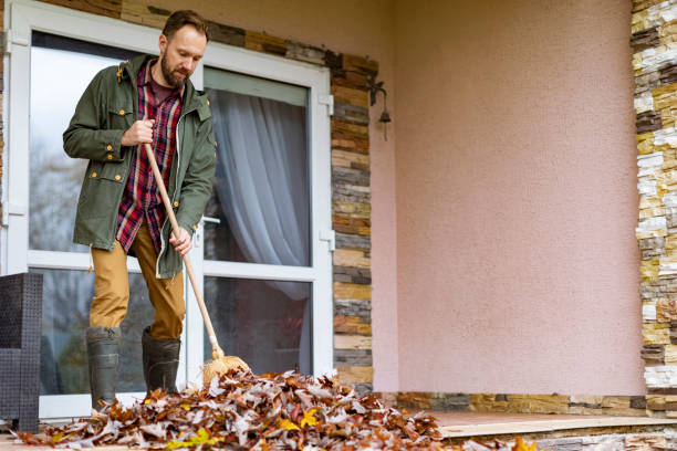 Attic Cleanout Services